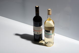 零酒精也能暢飲？探尋即飲型無酒精飲料的新風潮